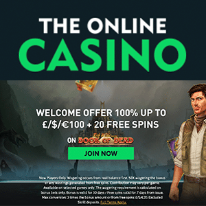 the online casino bonus